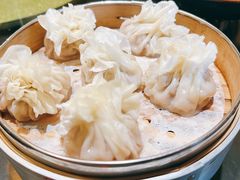 蒙古羊肉烧卖-蒙料·手把肉(望京店)