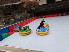 -采薇庄园四季滑雪场