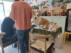 -平行世界·猫咖(首经贸店)