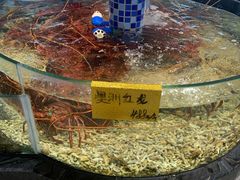 水产区-寻味顺德·珍之宝酒楼(银钻店)