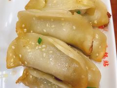 鲜肉锅贴-小姜锅贴(凤凰街店)
