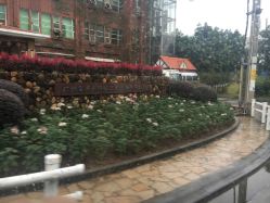 点击看大图 -金夫人婚纱摄影(华南店)