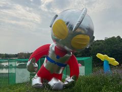 -大塘金香草谷