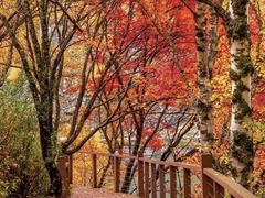 -叠溪松坪沟景区