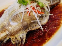 清蒸桂鱼-廊亦舫Lang Yi Fang Restaurant(金桥店)