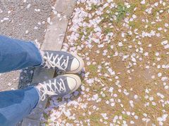 -顾村公园3号门停车场