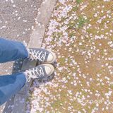 春天的正确打开方式-一起来看场樱花雨吧🌸