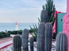 -漳州滨海火山岛自然生态风景区