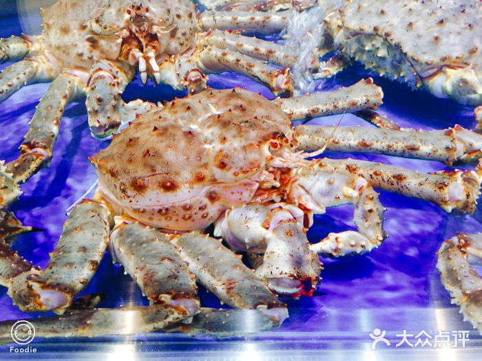 盒马鲜生(金源店)帝王蟹图片