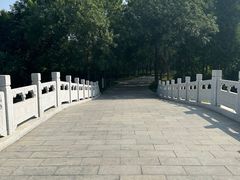 -大兴滨河森林公园