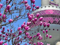 -东方明珠广播电视塔