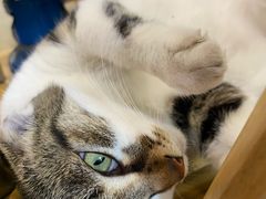 -铜瓢江湖兔火锅(水碾河社区店)