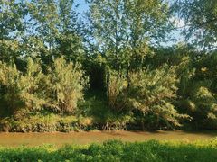 -白鹭湾湿地公园