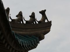 -武汉大学-樱园