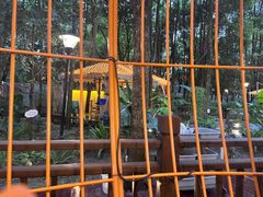 -二荆条·蜀鲜汇城市森林火锅