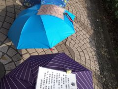 -人民公园-相亲角