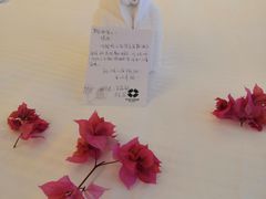 -三亚亚龙湾雅高美爵酒店