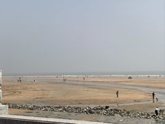 -日照海滨国家森林公园