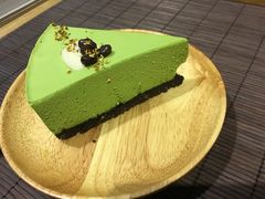 -柴务处·柴犬主题狗咖