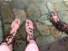 -夏津德百度假村温泉