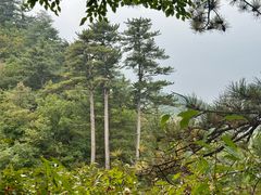 -玉渡山自然风景区