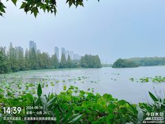 -东湖生态旅游风景区