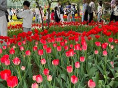 -石家庄市植物园