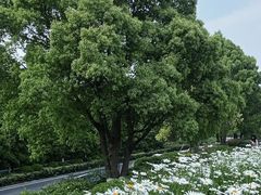 -森林公园(尖草坪区)