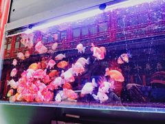 -华声天桥民俗文化园