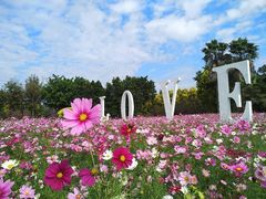 -广东花都香草世界旅游度假区