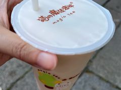 -猫的魔法密林(衣裳街店)