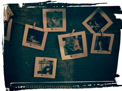 -壹六猫窝(谷德店)