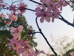 -南山植物园