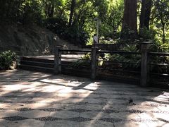 -南岗山公园