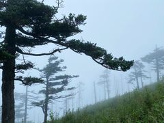 -秦岭风景区