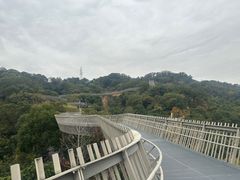 -福道