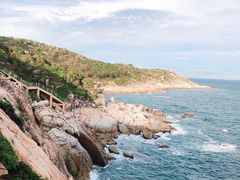 -广东惠东海龟国家级自然保护区