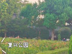 -复兴公园
