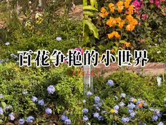 -青青世界