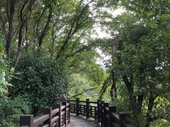 -白马涧龙池景区