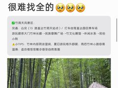 -日照海滨国家森林公园