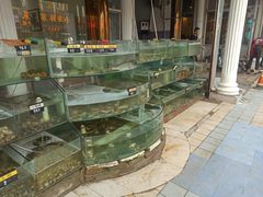 -四海鲜渔家菜(黄金海岸店)