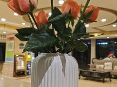 -维也纳酒店(重庆西站巴国城店)