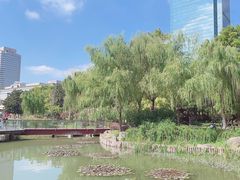 -新虹桥中心花园