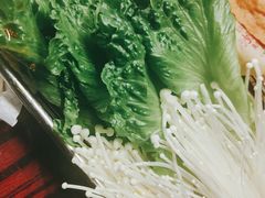 -沙胆彪炭炉牛杂煲(成都玉林店)
