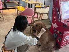 -汪说·狗咖(旺城大厦店)