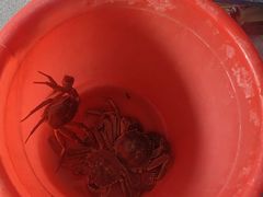 -阳澄湖大闸蟹·琼灵阁牌品牌连锁(吴中总店)
