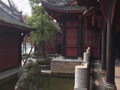 -铁山坪森林公园