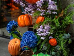 -Money Shops(愚园路店)