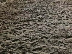 -长白山万达锦华套房酒店